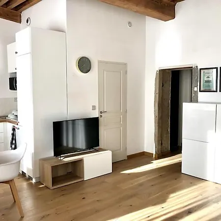 Le Canut De St Just Appartement Lyon